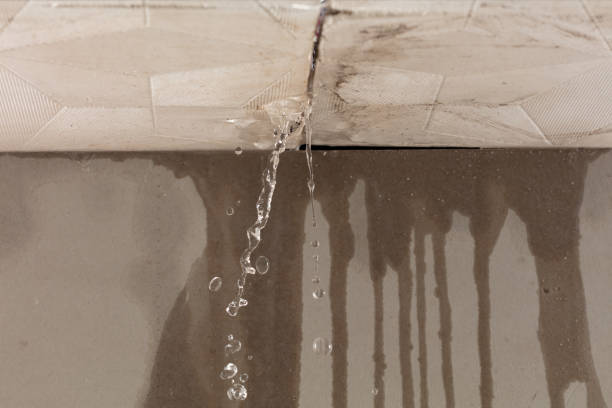 Professional Water Damage Inspection technician working in Sherwood, WI